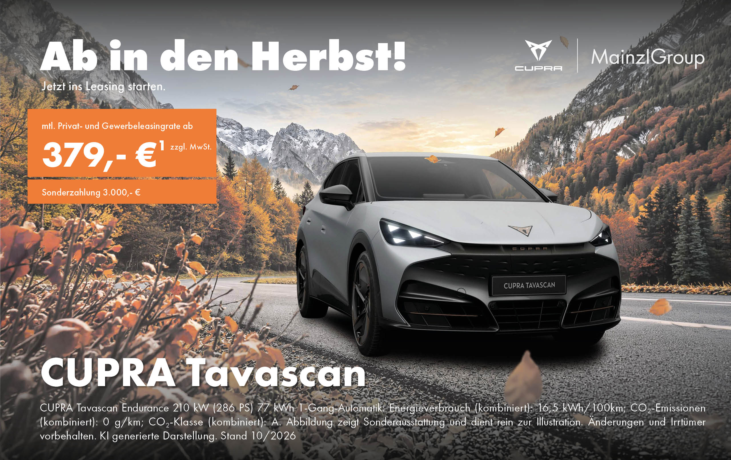 Website_Aktionsanzeigen_Tavascan_2560x1612px
